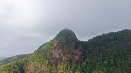 Low clouds enveloping the lush green rainforest blanket the mountain peak, creating a serene atmosphere in the tropical jungle. Vibrant foliage thrives in this untouched ecosystem