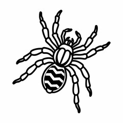 Black and white tarantula spider illustration