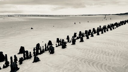 Obraz premium Wattenmeer Wangerooge