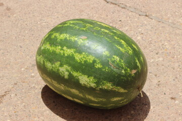 Fresh watermelon lying on the floor