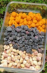 dried fruits and berries