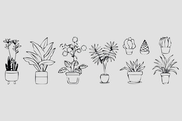 Vector floral design set with spring flowers and nature illustrations