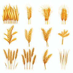 Professional Nine Wheat Spikes Set Icons Vector Illustration for Agricultural Use