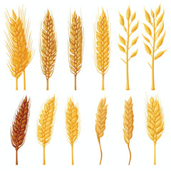 Professional Vector Illustration of Nine Wheat Spikes Set Icons for Agricultural Use
