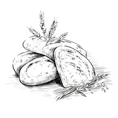 Professional Sketch of Organic Gourmet Bread Fresh Icon Isolated on White Background for Culinary Projects