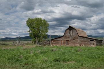 Fototapeta premium barn and buildings at Mormon Row in the Grand Tetons 