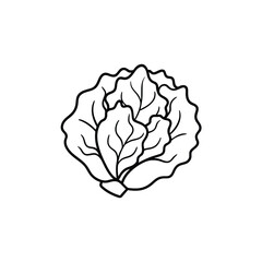 Hand Drawn Lettuce Outline Vector Illustration.
