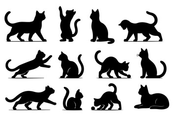 cat set, vector illustration