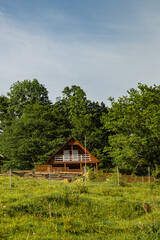 Wooden House in Forest