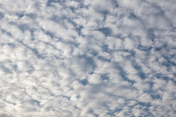 Altocumulus Clouds Pattern in a Blue Sky