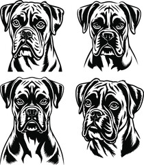 Four Boxer Dog Portraits in Black and White