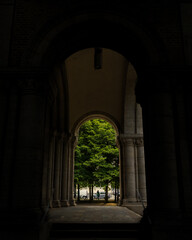 Fototapeta premium Night Path