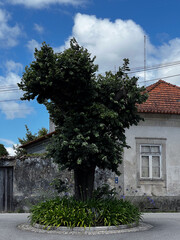 old house in the village