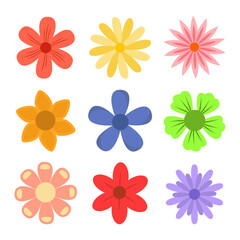 Flower set. Cute Spring colorful flowers collection. Daisy chamomile, daffodil, sun flower, chrysanthemum gerbera. Growing concept. Fresh blooming elements. Flat design. White background. Vector