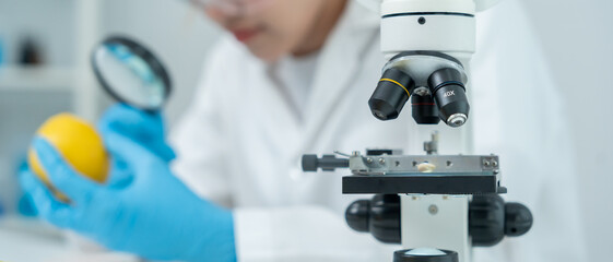 Scientist check chemical food residues in laboratory. Control experts inspect quality of fruits, vegetables. lab, hazards, ROHs, find prohibited substances, contaminate, Microscope, Microbiologist