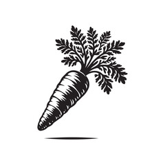 vector illustration of a leaf