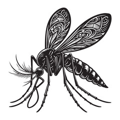 black and white butterfly