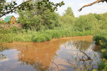Mesha River, Ukrainian Polissia, Chernihiv region.