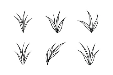 grass blade line art vector illustration