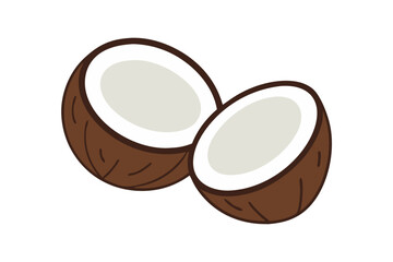 Half coconut illustration