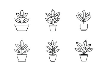 indoor plant line art vector illustration