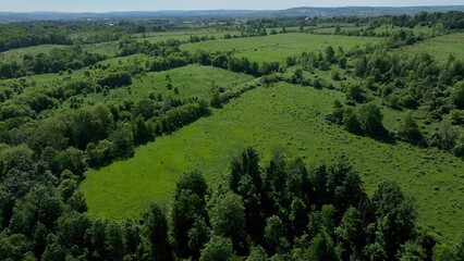 Green fields and pastures in Upstate New York countryside farmland in summer time with sunshine and fertile ground for farming © Steve