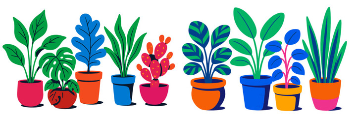 Colorful array of decorative plants displayed in vibrant pots showcasing indoor gardening creativity