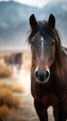 Obraz premium Majestic horse stands proudly in a wide-open field under a cloudy sky at dusk