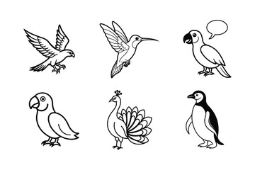 Collection of Six Bird Illustrations Eagle, Hummingbird, Parrot, Peacock, Penguin and more