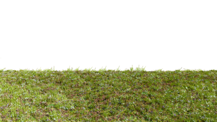 3d rendered macro shot of an uphill slope of grass land with patches of small flowers, isolated on a black background. 3d rendering of a grassy hill with flowers.