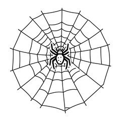 Obraz premium クモの巣とクモの線画｜Spider and Web Line Drawing