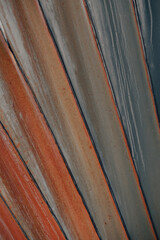Obraz premium Close-up view reveals the detailed patterns and textures of a palm