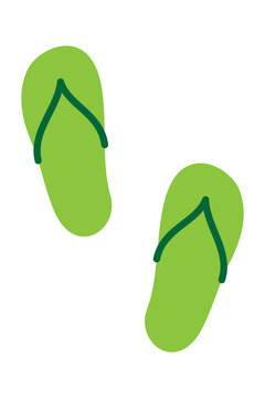Green flip flops sandals isolated on white background. Summer beach footwear shoes for vacation pool tropical holiday. Perfect for travel websites ads, posts vector illustration. High-res isolated PNG