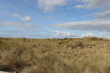dunes in the dunes