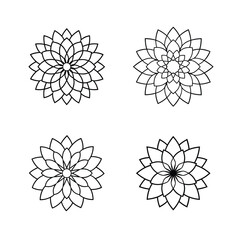 Obraz premium black and white flower set 