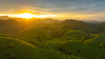 A breathtaking sunrise illuminates the rolling green hills with golden light, casting a warm glow...