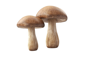 champignon mushrooms isolated on white background, with clipping path. PNG