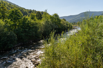 Summer day nature. Mountain river. Flow of water over stones. Cascades stream
