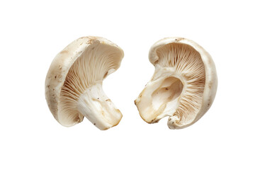 champignon mushrooms isolated on white background, with clipping path. PNG