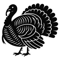 vector illustration of a turkey