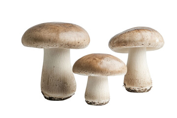 champignon mushrooms isolated on white background, with clipping path. PNG