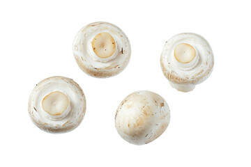champignon mushrooms isolated on white background, with clipping path. PNG