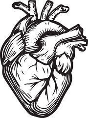 vector illustration of a heart