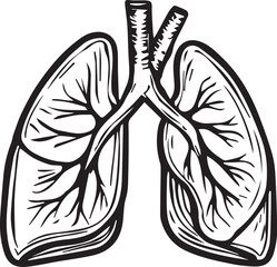 vector illustration of a human lungs