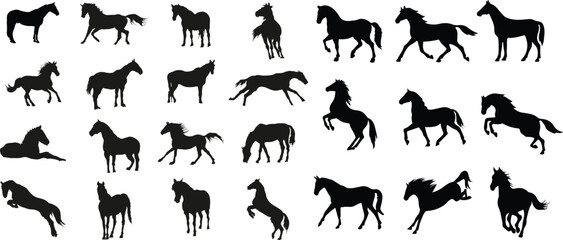 vector silhouettes of horses