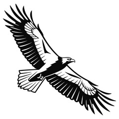 Vector illustration of a majestic black eagle in flight, showcasing its powerful wings and wild nature
