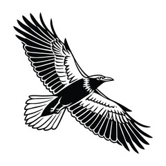 flying bird wings spread silhouette black and white
