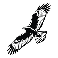 flying bird wings spread silhouette black and white