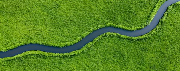 Fototapeta premium sustainable agriculture with crop rotation and regenerative practices. Rotated field with minimal disturbance and vibrant microbial life