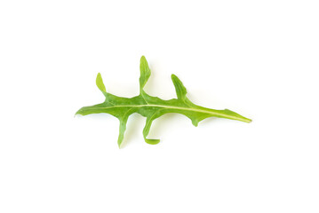 one arugula leaf isolated on white